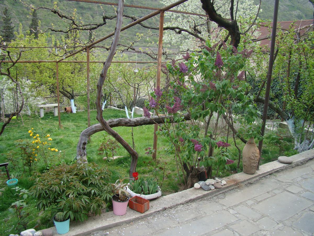 Guest House Ucha Mtsʼkhetʼa Kültér fotó