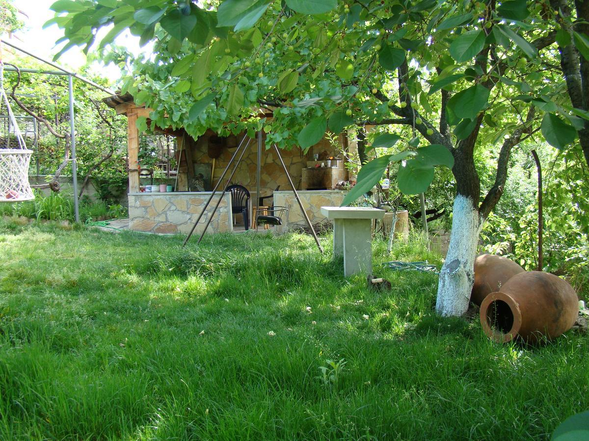 Guest House Ucha Mtsʼkhetʼa Kültér fotó