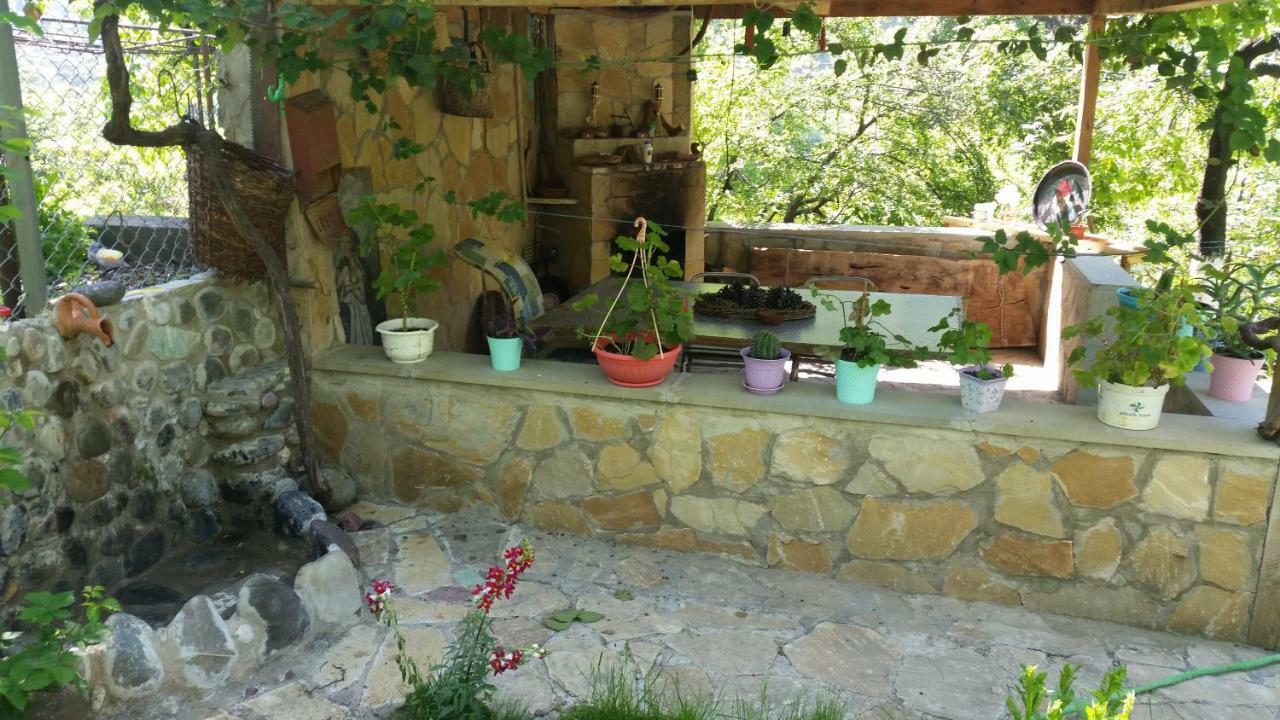 Guest House Ucha Mtsʼkhetʼa Kültér fotó