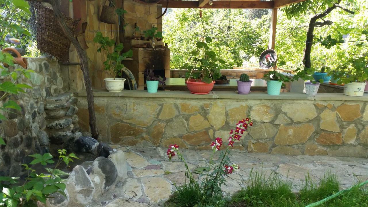 Guest House Ucha Mtsʼkhetʼa Kültér fotó