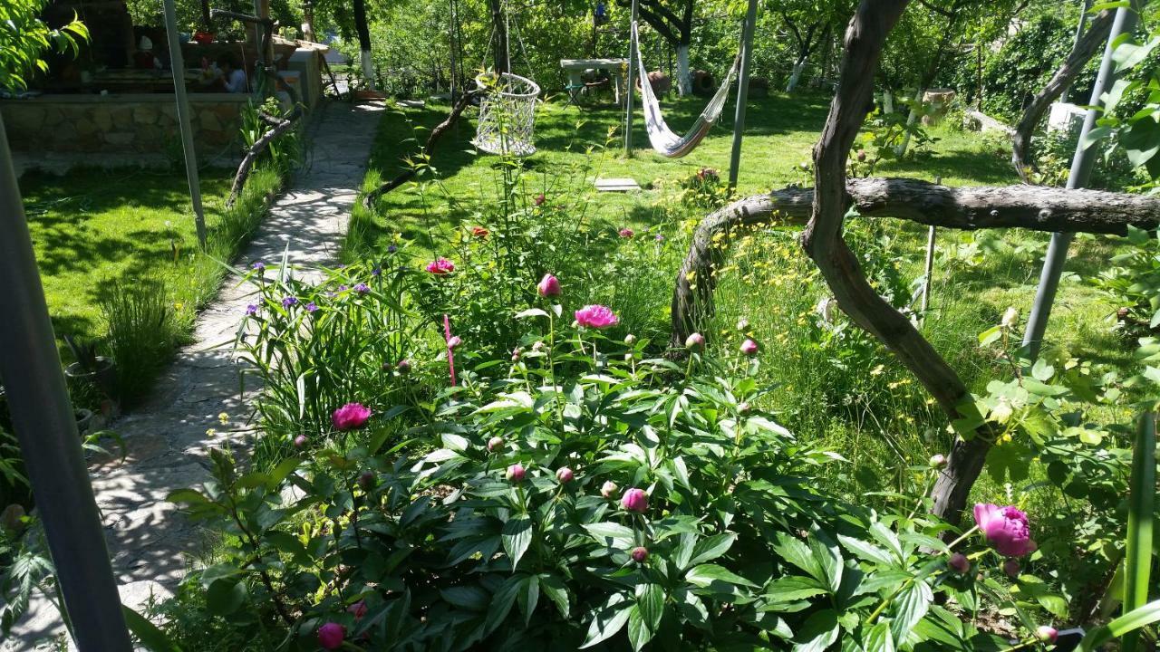 Guest House Ucha Mtsʼkhetʼa Kültér fotó